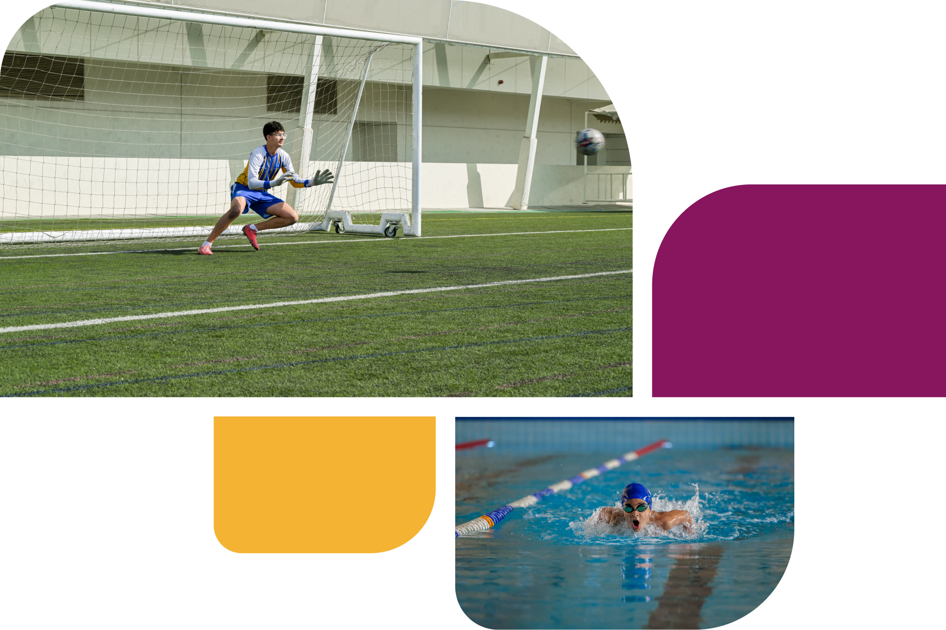 WEK_Elite Sports